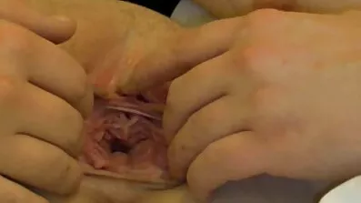 Mlada plavuša u crvenom rublju. Piti sok od najžešći pornići djevojčine Pičke.