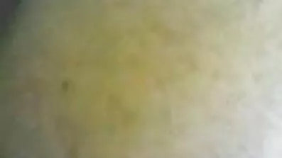 Seks u besplatni porn film vili.