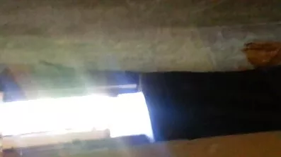 Aleksis Kristal swingeri film gura se u njezin šupak.